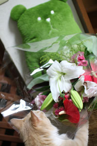 d0142191_0405.jpg