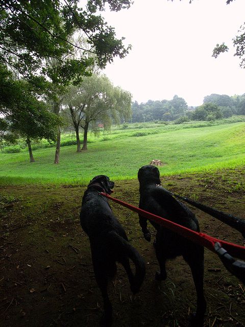 a0093592_013022.jpg
