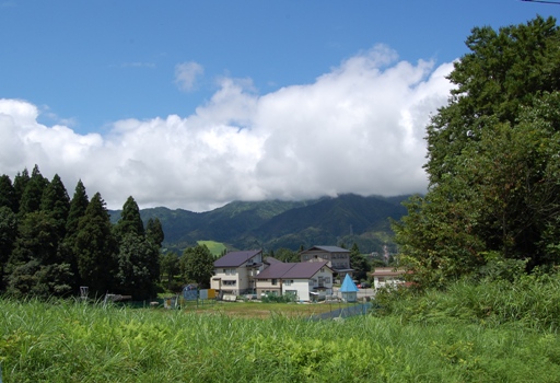 d0153294_19452277.jpg