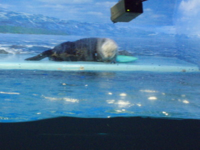 c0086895_1614356.jpg