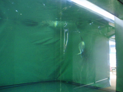 c0086895_16182252.jpg