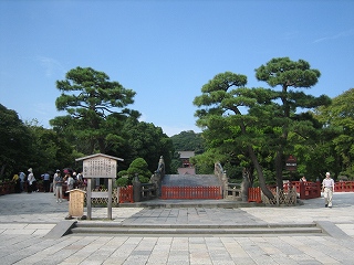 c0077697_14461614.jpg