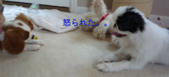 c0066898_1314979.jpg