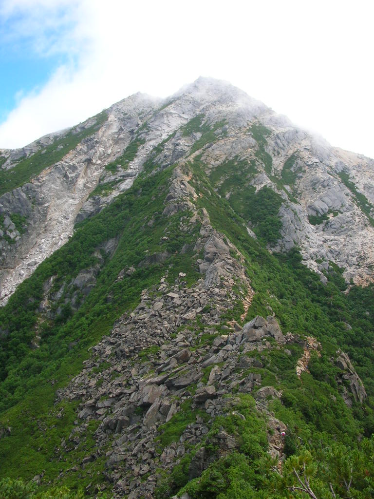 a0019601_2141979.jpg