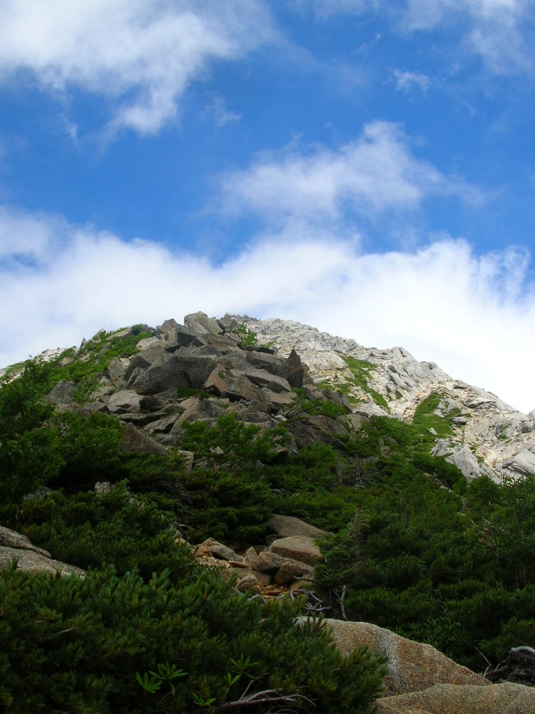 a0019601_2243754.jpg