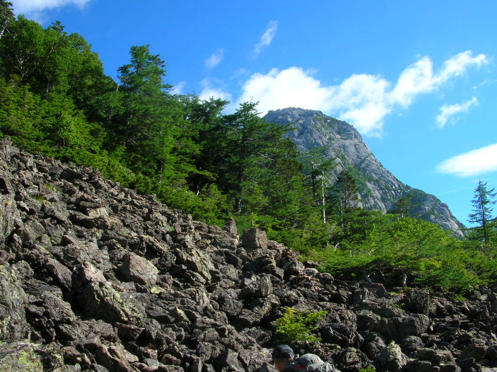 a0019601_271133.jpg