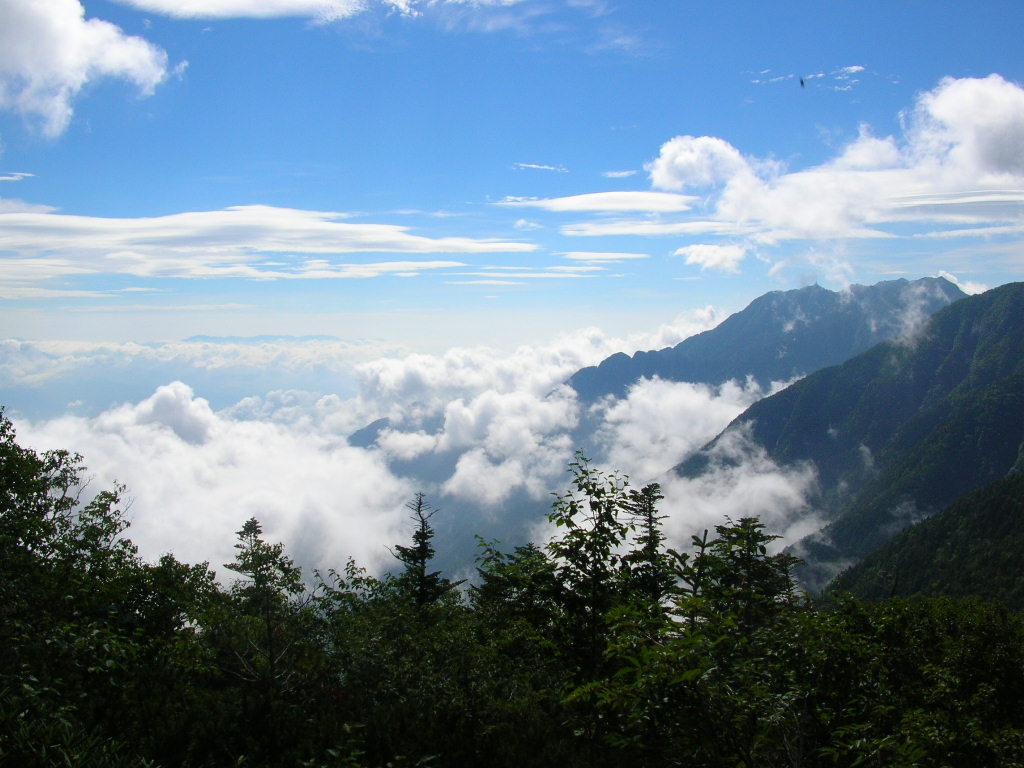 a0019601_292373.jpg