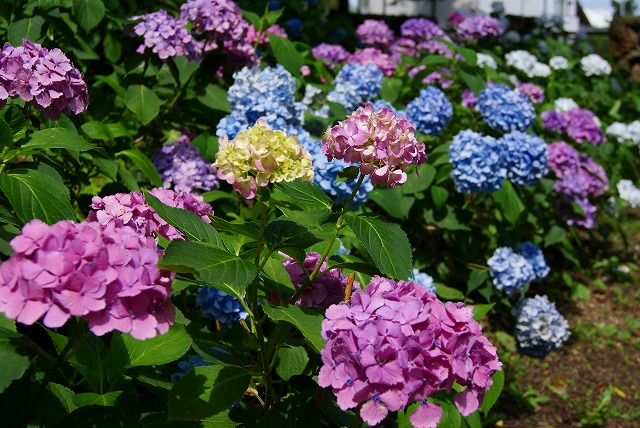c0125702_22175782.jpg