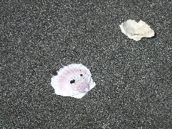 d0024504_8162141.jpg
