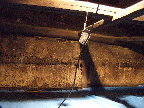 d0024504_903431.jpg