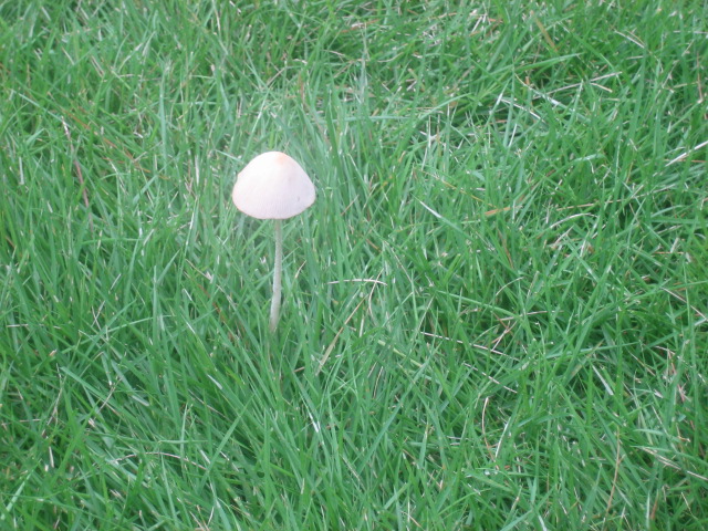 d0093506_20244948.jpg