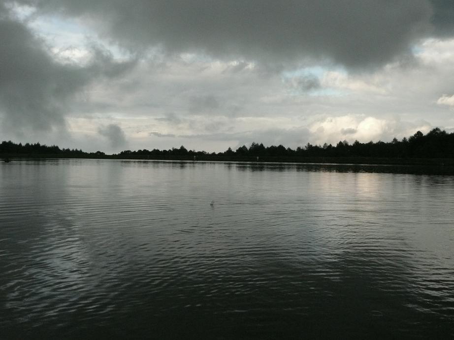 d0126708_21563876.jpg