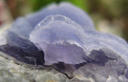 e0139012_21391837.jpg