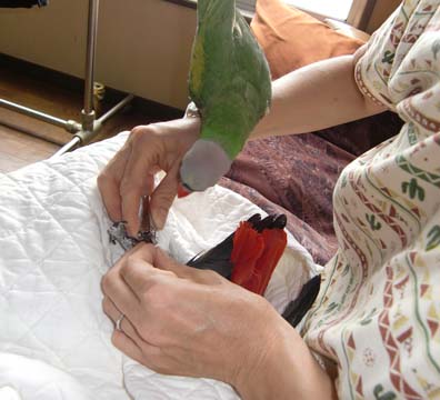c0133013_17542395.jpg