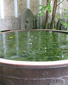 c0198717_225667.gif