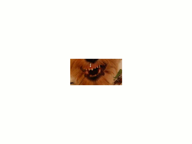 a0122619_1434442.gif