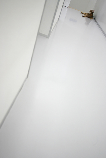e0090124_655224.jpg