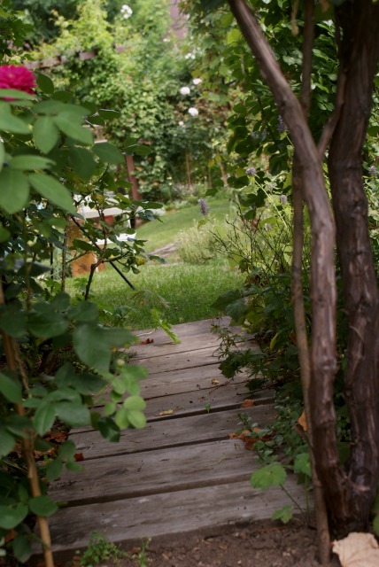 f0170524_13453812.jpg