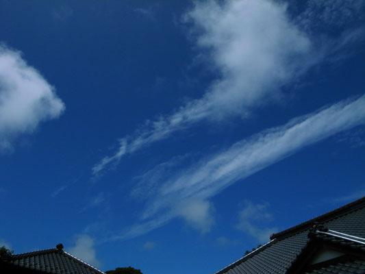 c0182231_19234965.jpg
