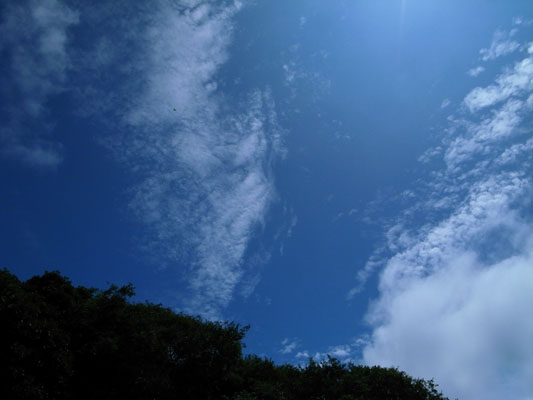 c0182231_19301866.jpg