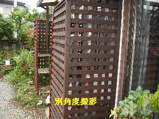 f0031037_21112899.jpg