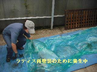 f0031037_2194438.jpg
