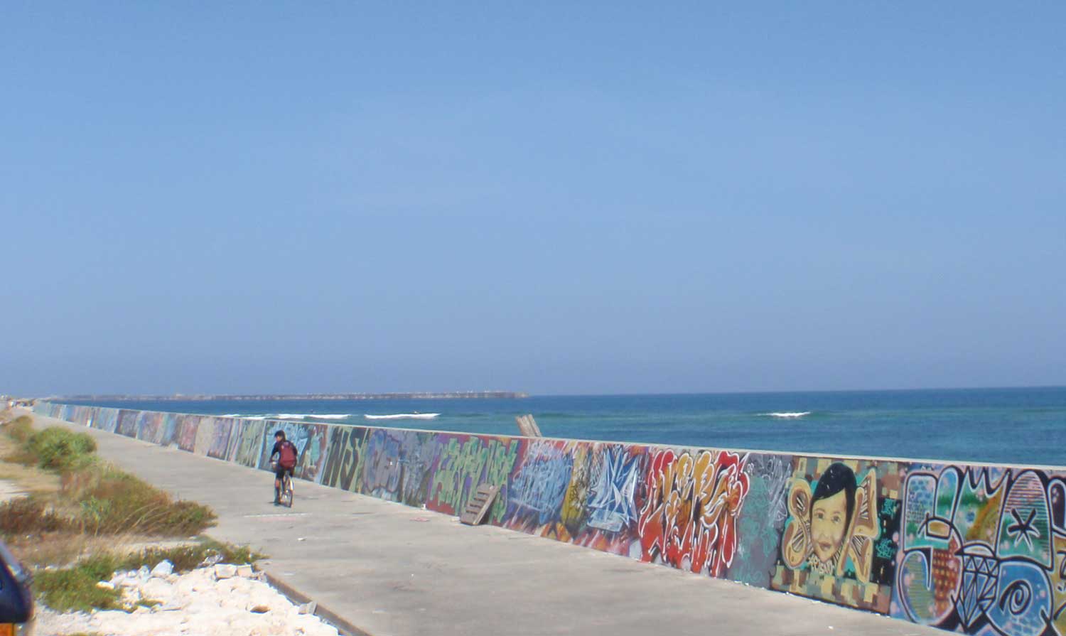 a0122740_93081.jpg