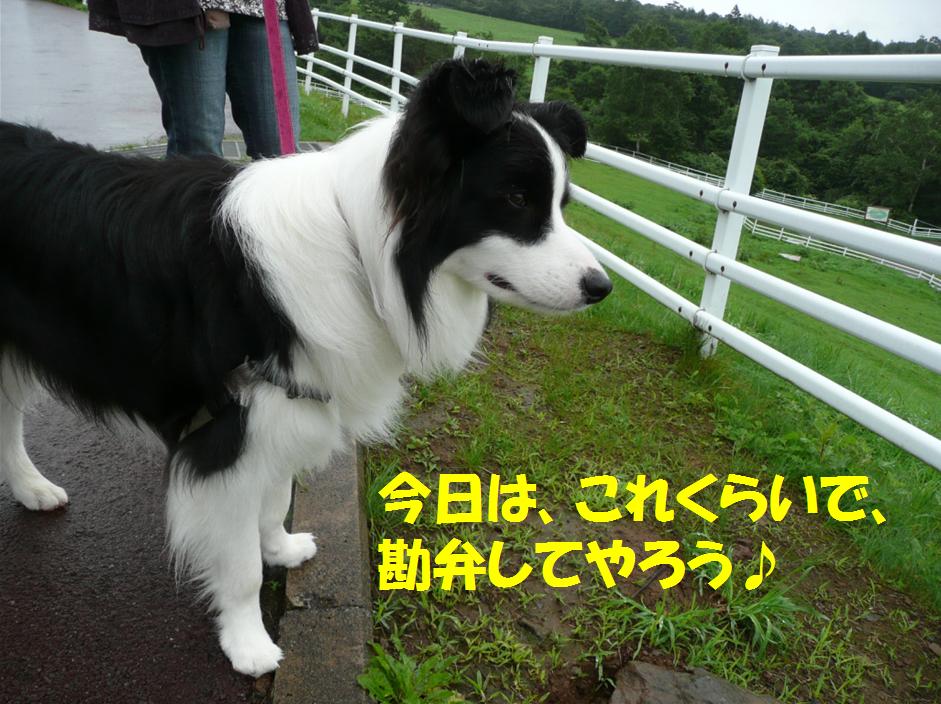 c0147241_22153861.jpg