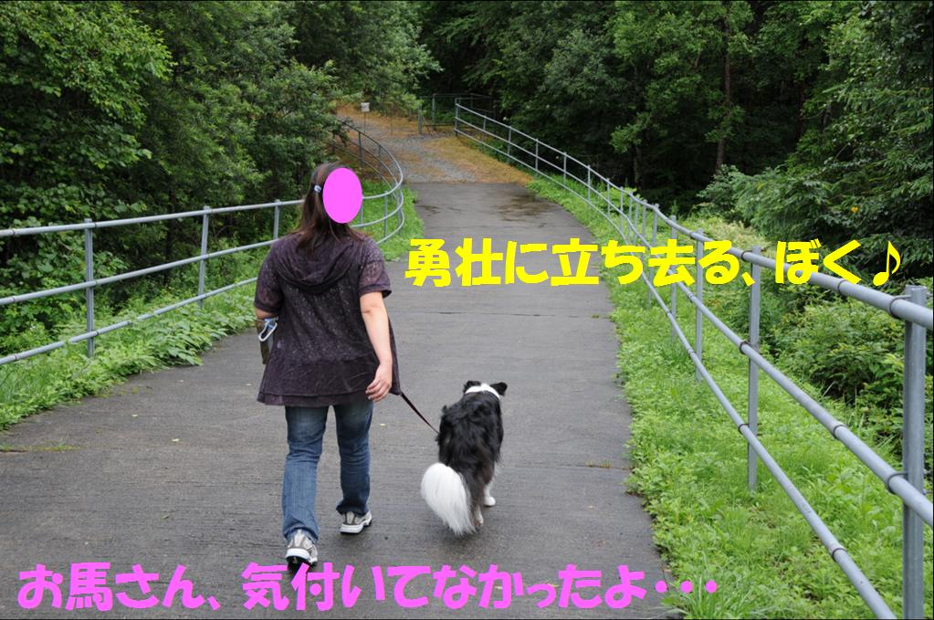 c0147241_22154567.jpg