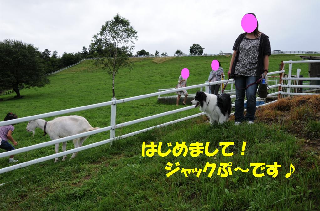 c0147241_22155141.jpg