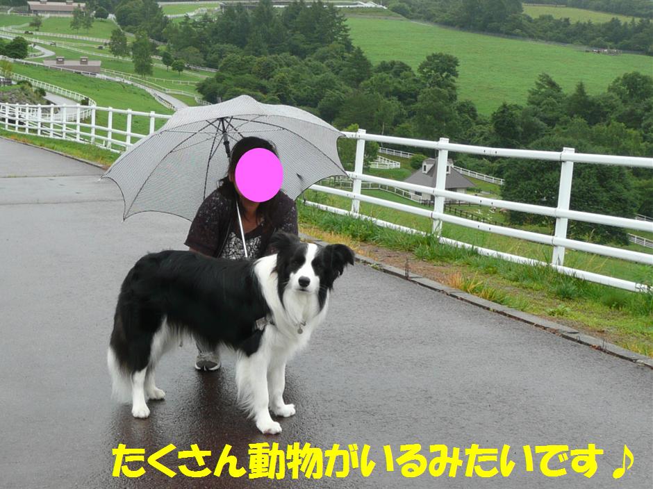 c0147241_2215666.jpg