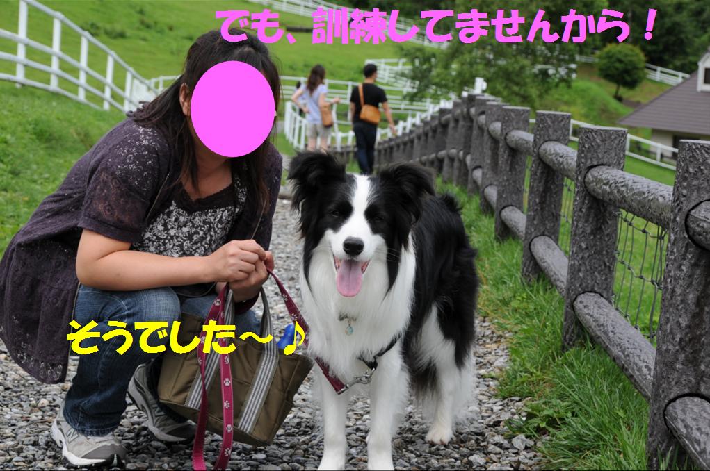 c0147241_22165350.jpg
