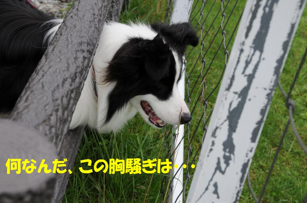 c0147241_22265629.jpg