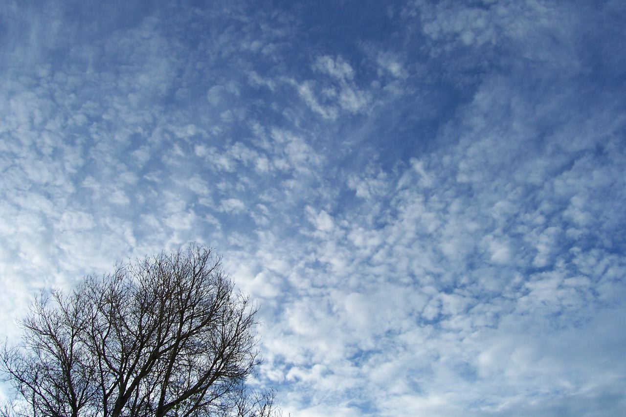 f0170545_1475447.jpg