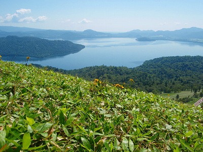 e0004756_20225047.jpg