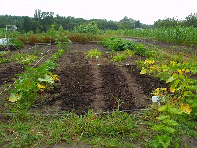 e0004756_2214496.jpg