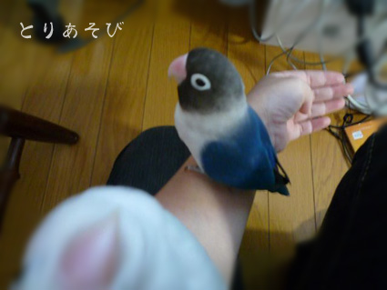 e0147757_22204511.jpg