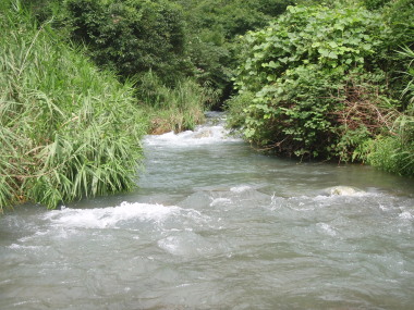 水量状態を確認しに・・・！_a0116261_21372819.jpg