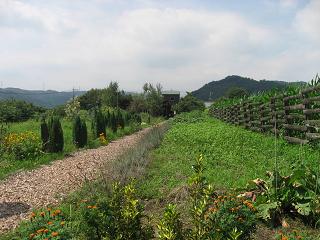 a0120264_16535533.jpg