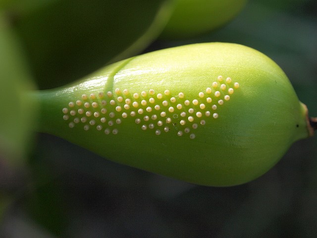 b0135573_20311117.jpg