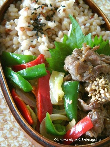 ネタ切れ・・・・・( ̄、 ̄@) ☆ 今日のお弁当♪_c0139375_13302772.jpg