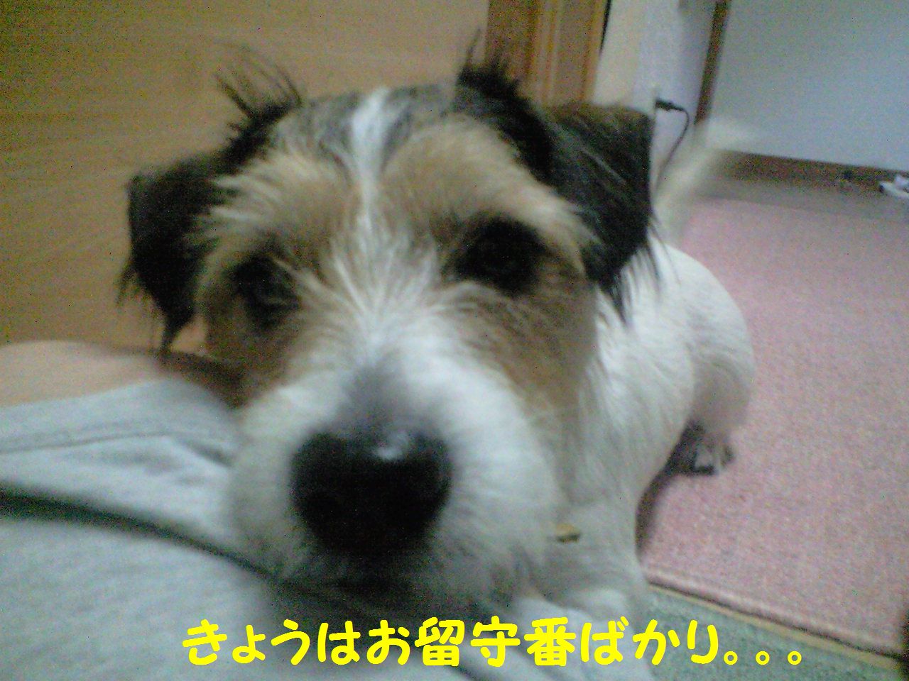 a0118079_22232549.jpg