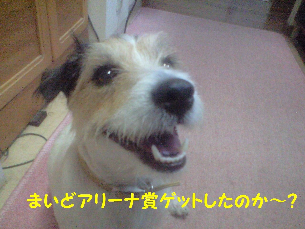 a0118079_22264230.jpg