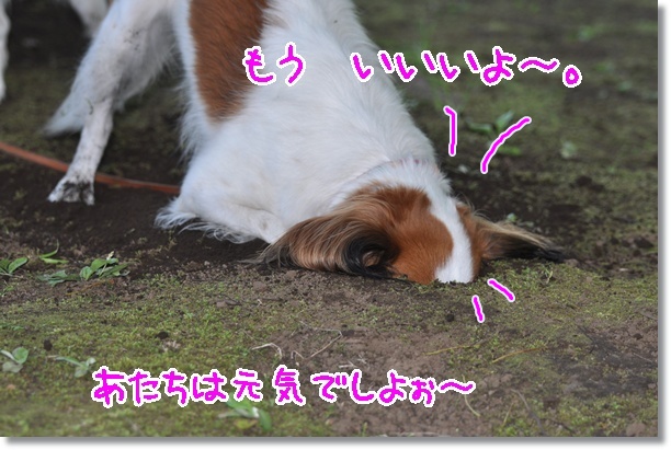 写真応募はお済みですかぁ～？_c0075585_1583298.jpg