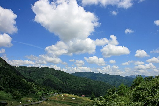 e0190885_1818212.jpg