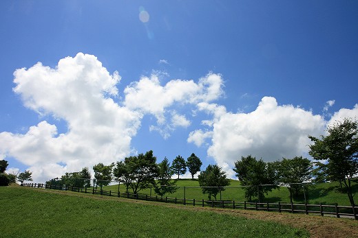 e0190885_18183319.jpg