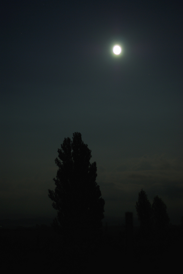e0051186_20591320.jpg