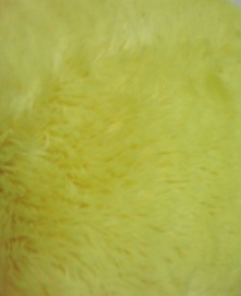 ナーーーーッ_f0143188_1232820.jpg