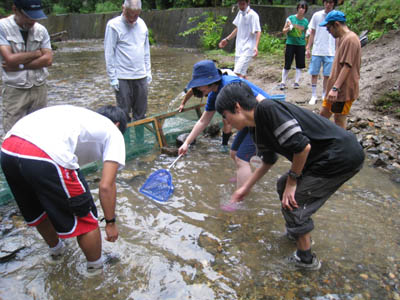 今日はやっと夏らしいお天気です。_f0043292_13261119.jpg