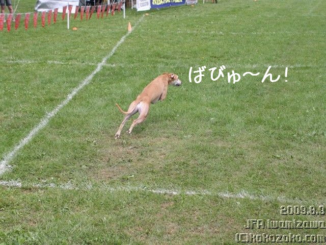 煌月にやられたJFA in 北海道岩見沢大会_b0124595_12333310.jpg